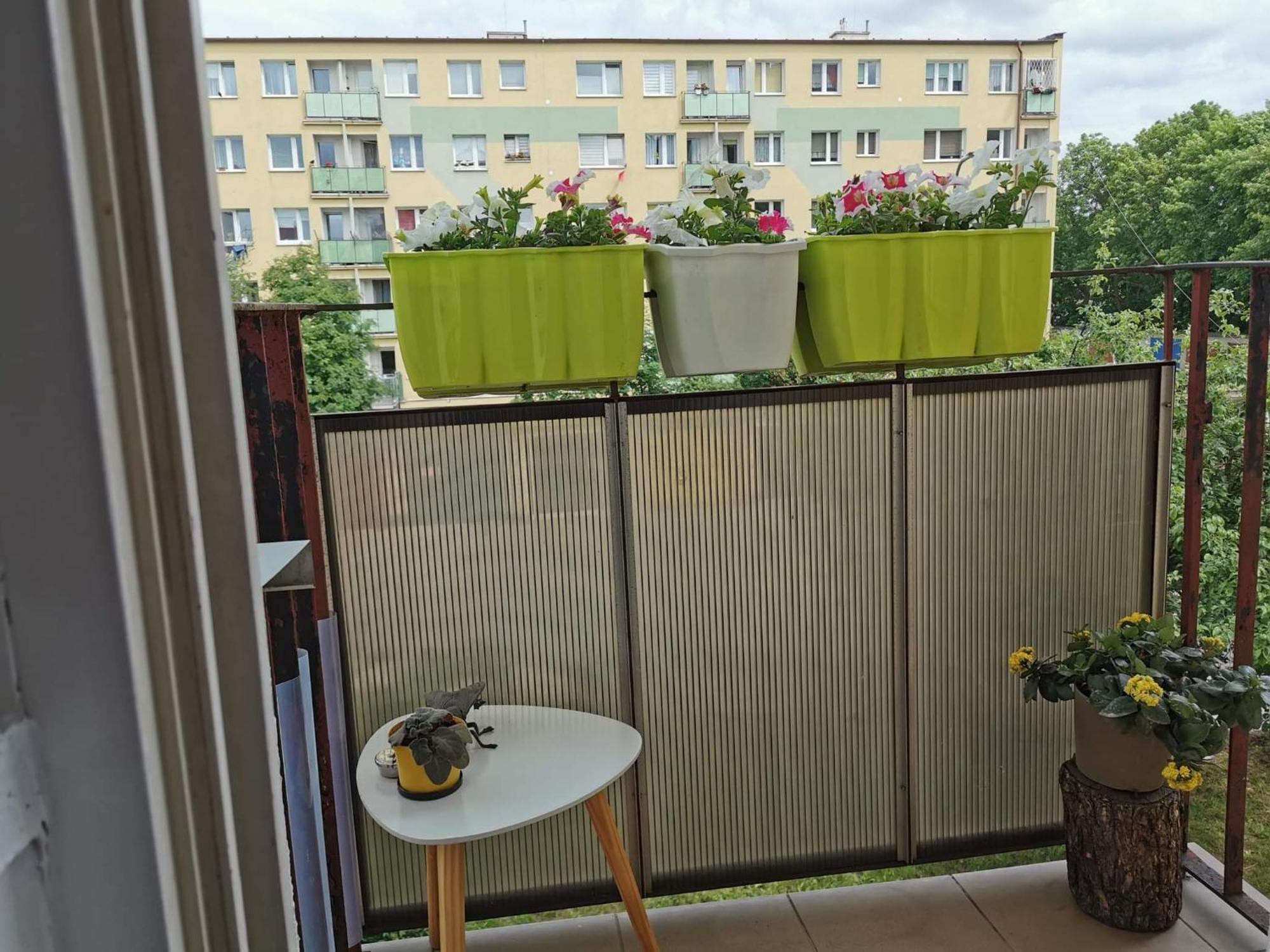 Mieszkanie Brzezno Przy Plazy Danzig Exterior foto