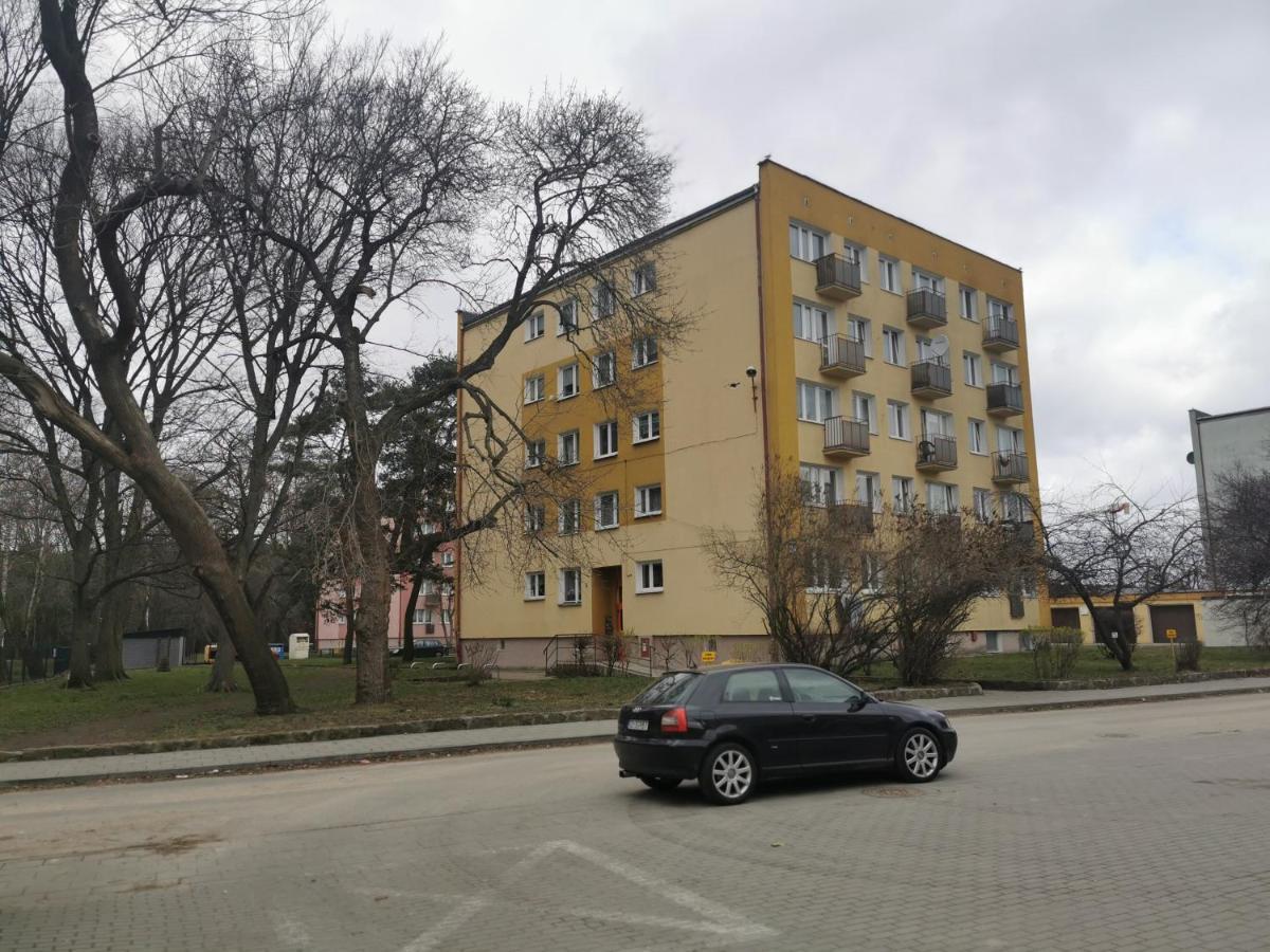 Mieszkanie Brzezno Przy Plazy Danzig Exterior foto